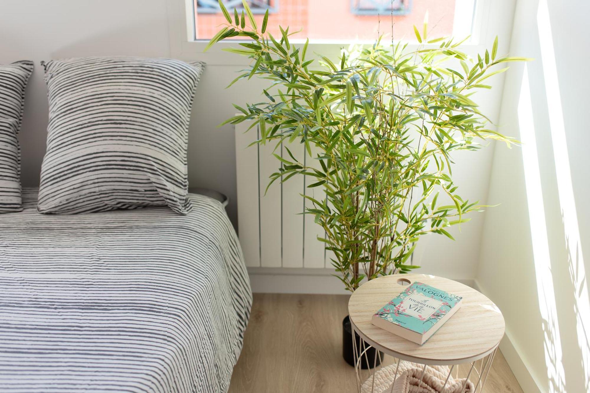 T2 Avec Parking Gratuit - Proximite Gare Appartement Toulouse Buitenkant foto